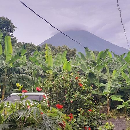 Bananas Guest House Private Room Altagracia Extérieur photo