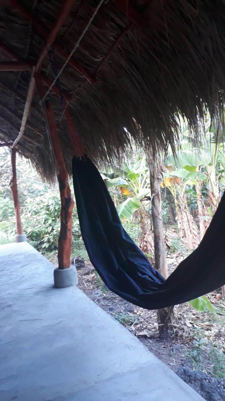 Bananas Guest House Private Room Altagracia Extérieur photo
